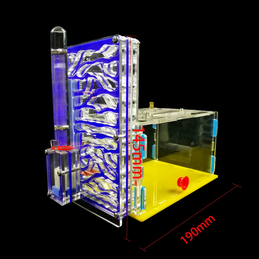 DIY T-Design Acrylic Ant Farm – Insect Villa Mania Nest Birthday Gift